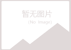 偃师如霜造纸有限公司